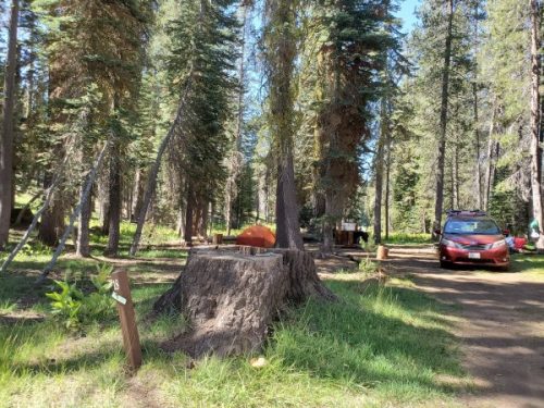 Juniper Lake Campground - Lassen Volcanic National Park | Park Ranger John