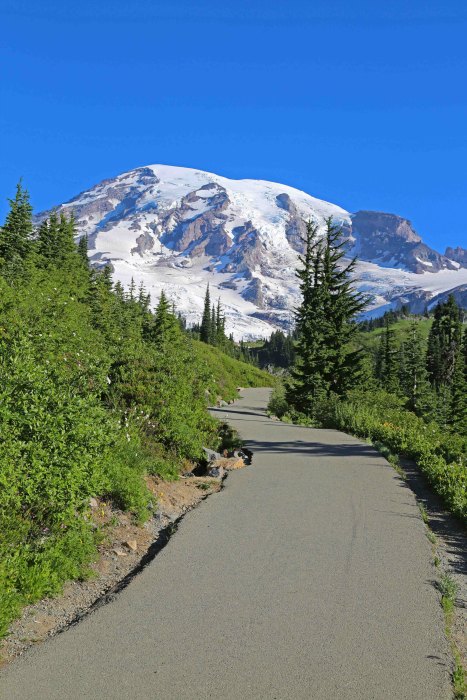 Mount Rainier National Park - Epic Guide 2023