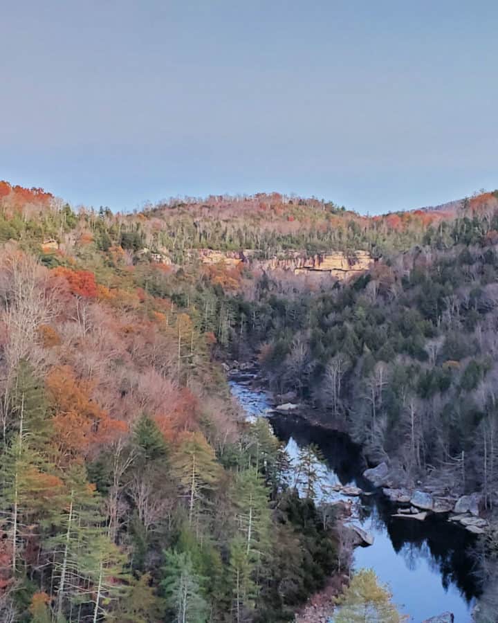 Obed wild and Scenic River in the background from Sunset Overlook viewpoint