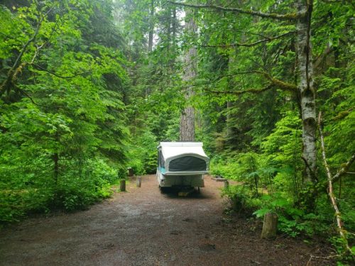 Ohanapecosh Campground - Mount Rainier National Park | Park Ranger John