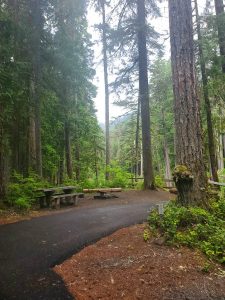 Ohanapecosh Campground - Mount Rainier National Park | Park Ranger John