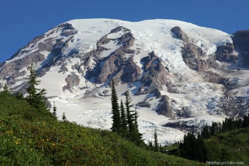 Epic Guide to Paradise - Mt Rainier National Park | Park Ranger John