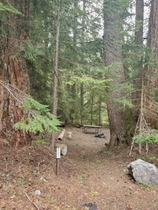 White River Campground - Mount Rainier National Park {Video} | Park ...