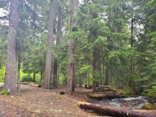 White River Campground - Mount Rainier National Park {Video} | Park ...