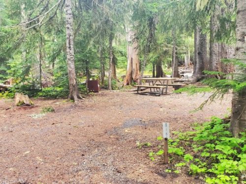 White River Campground - Mount Rainier National Park {Video} | Park ...