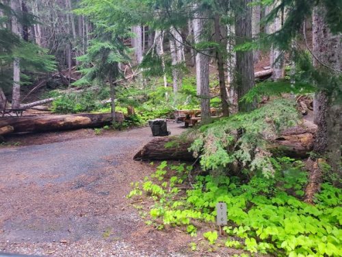 White River Campground - Mount Rainier National Park {Video} | Park ...