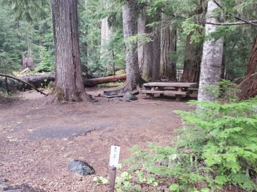 White River Campground - Mount Rainier National Park {Video} | Park ...