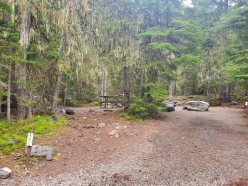 White River Campground - Mount Rainier National Park {Video} | Park ...