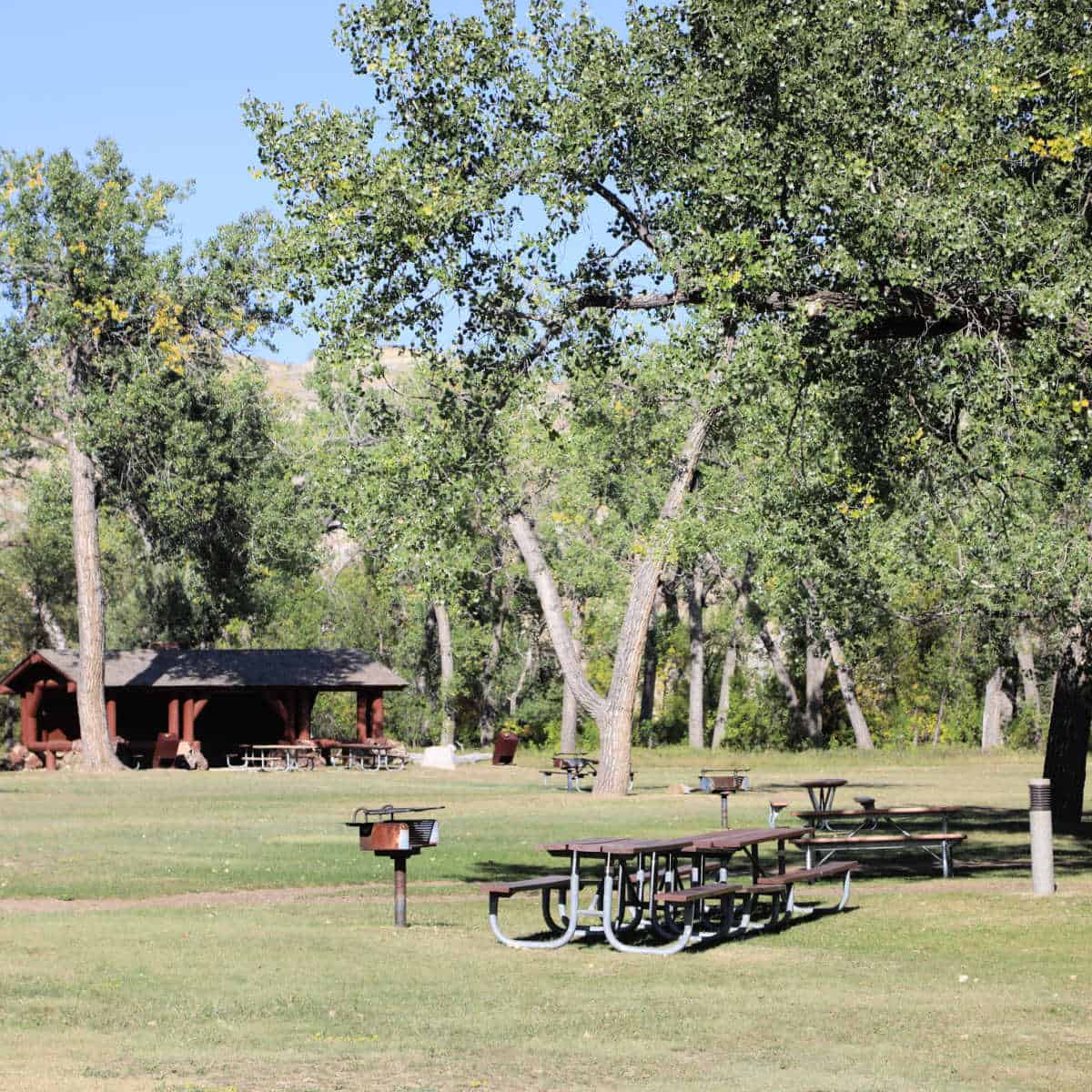 Picnic area next to the Juniper Campground Theodore Roosevelt National Park