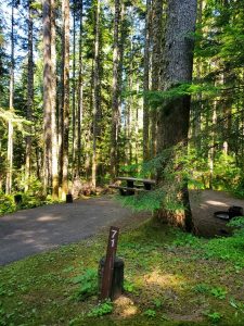 Heart O' the Hills Campground - Olympic National Park {Video} | Park ...