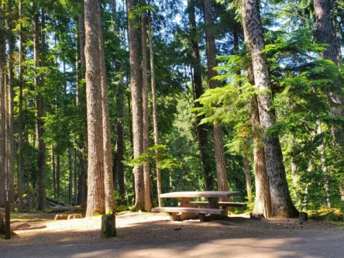 Heart O' the Hills Campground - Olympic National Park {Video} | Park ...