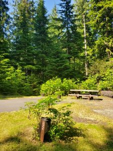 Heart O' the Hills Campground - Olympic National Park {Video} | Park ...