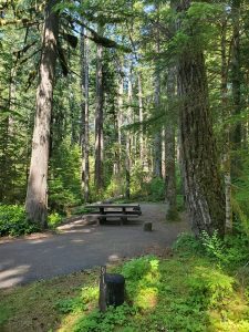 Heart O' the Hills Campground - Olympic National Park {Video} | Park ...