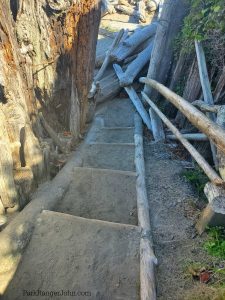 kalaloch