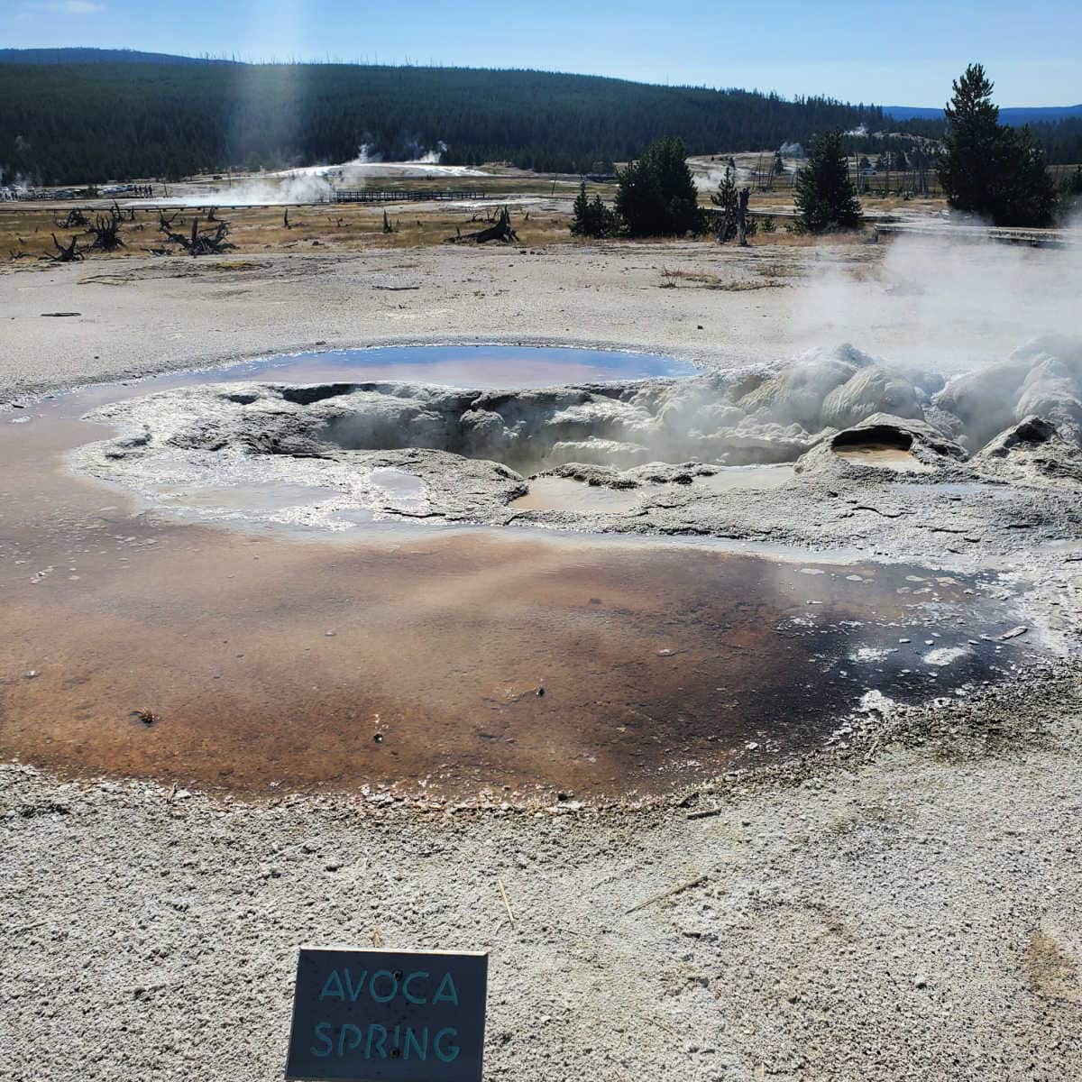 Avoca Spring Biscuit Basin Yellowstone National Park