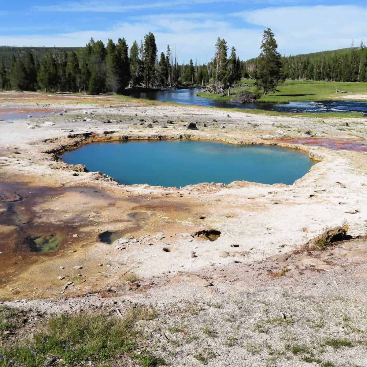 Black Opal Spring Biscuit Basin Yellowstone National Park