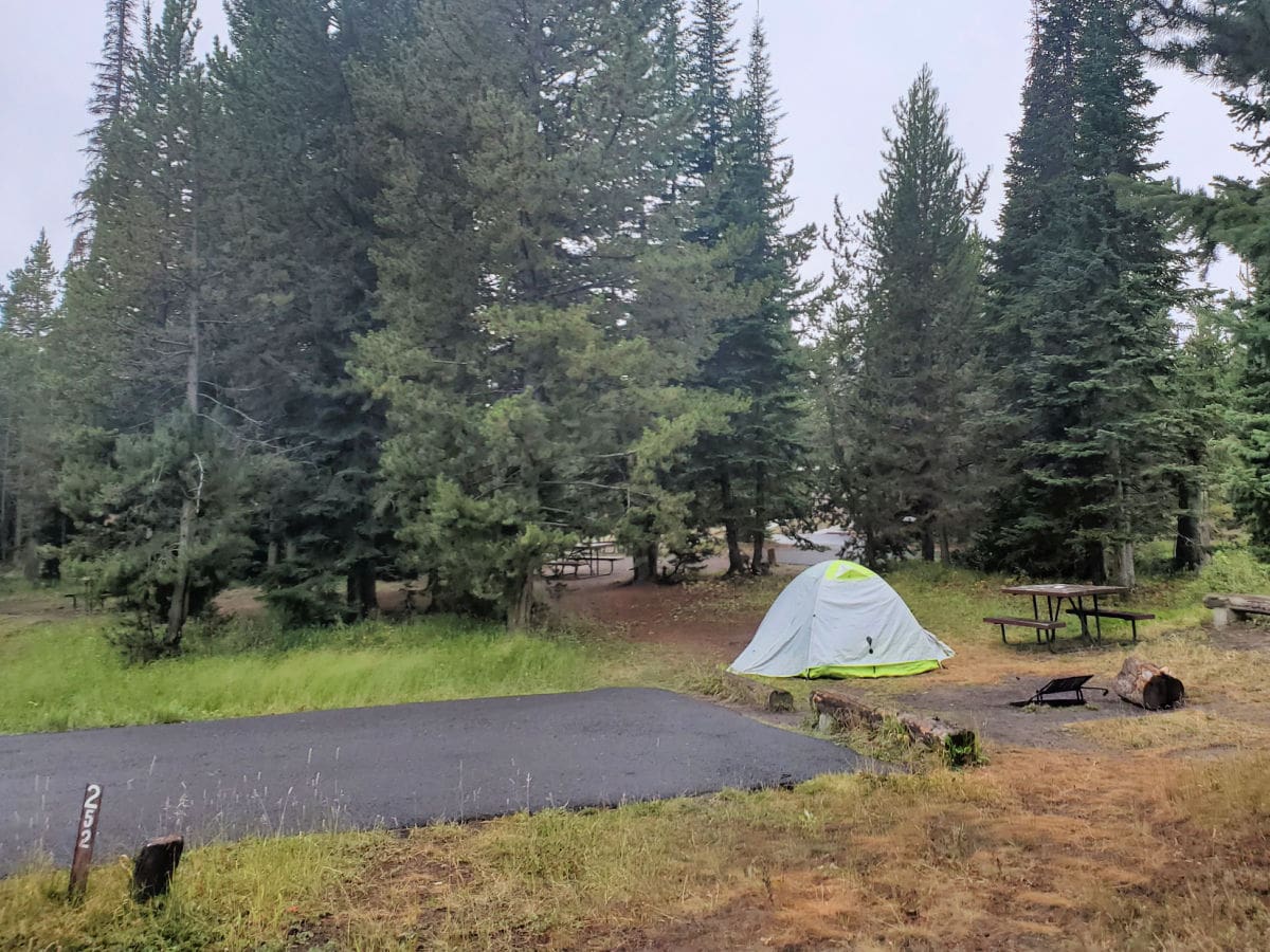 Campsite 252 Bridge Bay Campground Yellowstone National Park