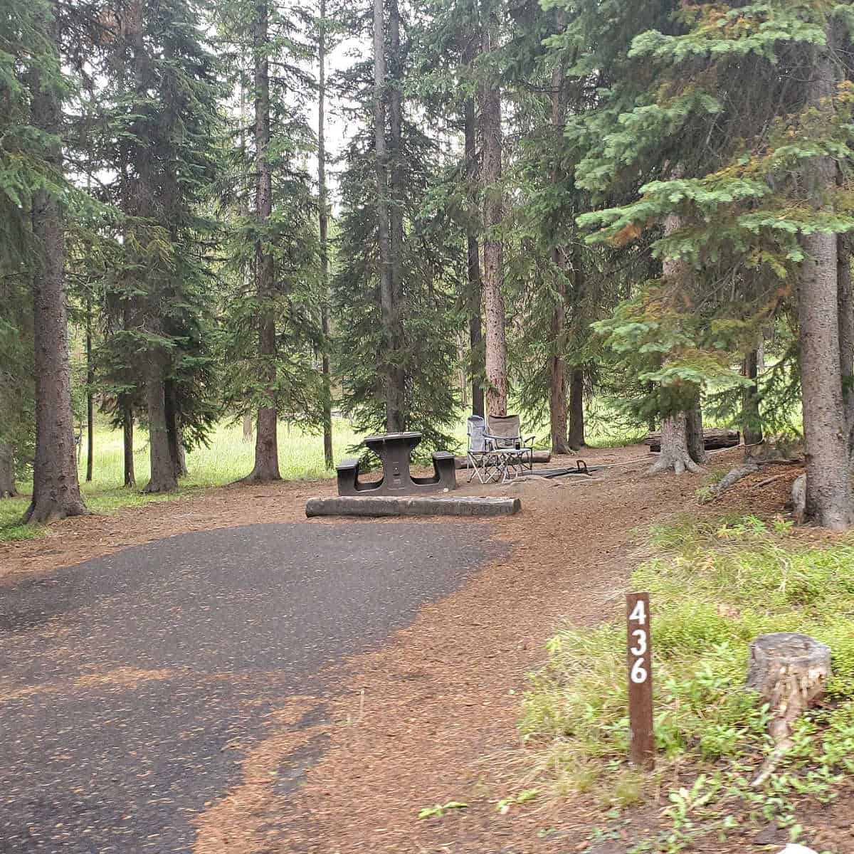 Campsite 436 Bridge Bay Campground Yellowstone National Park