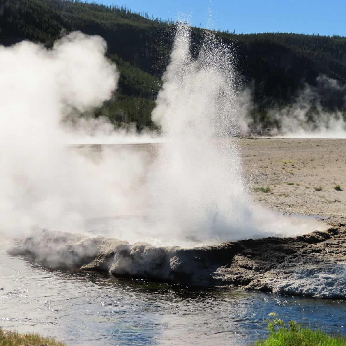 Cliff Geyser located in Biscuit Basin Yellowstone National Park