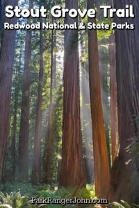 Stout Grove Trail – Jedediah Smith Redwoods State Park | Park Ranger John