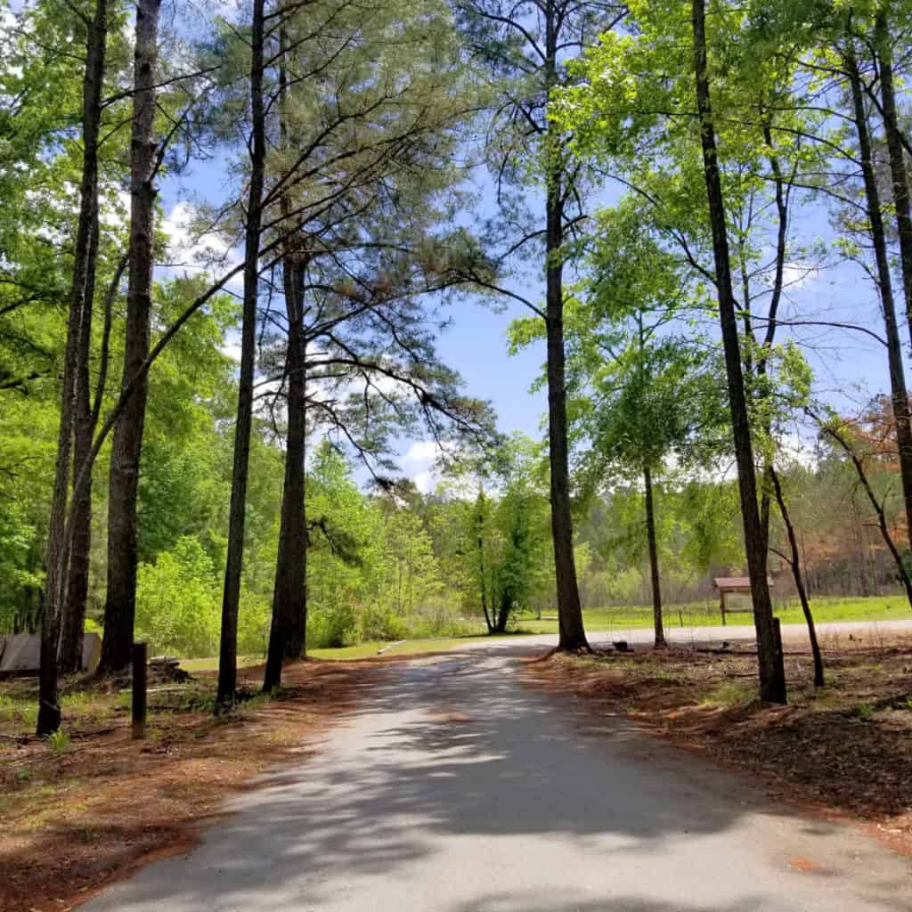 Driving into the Longleaf Campground at Congaree National Park