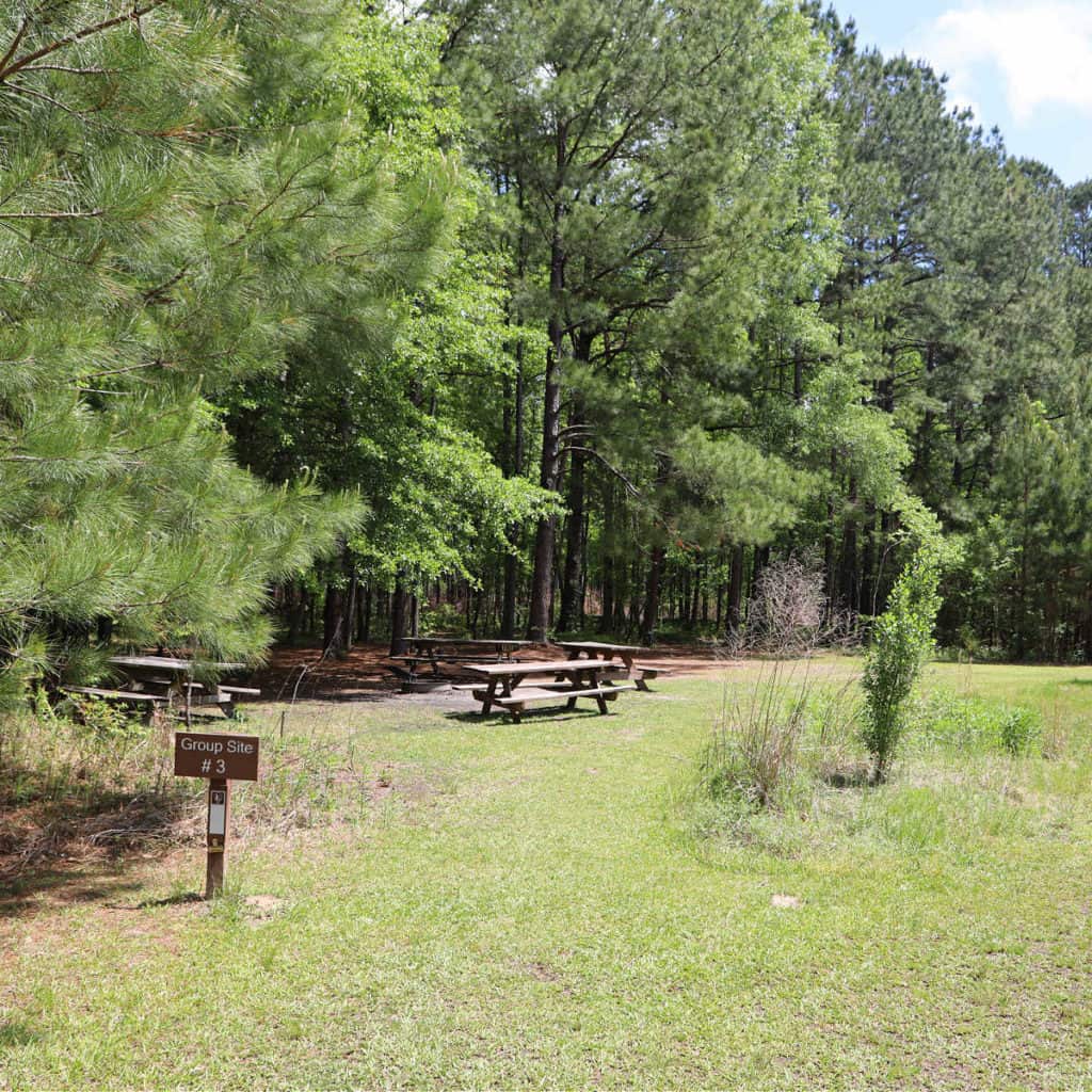 Group Site #3 at Longleaf Campground Congaree National Park