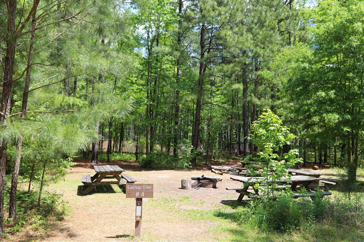 Group Site #4 Longleaf Campground at Congaree National Park