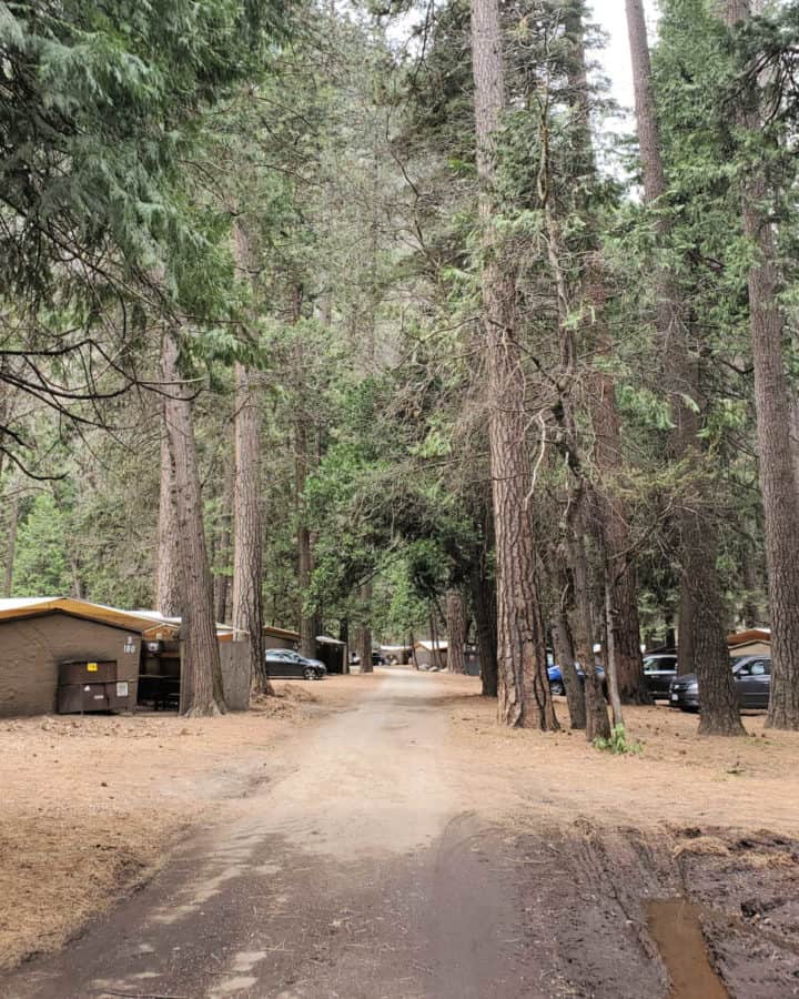 Housekeeping Camp Yosemite National Park