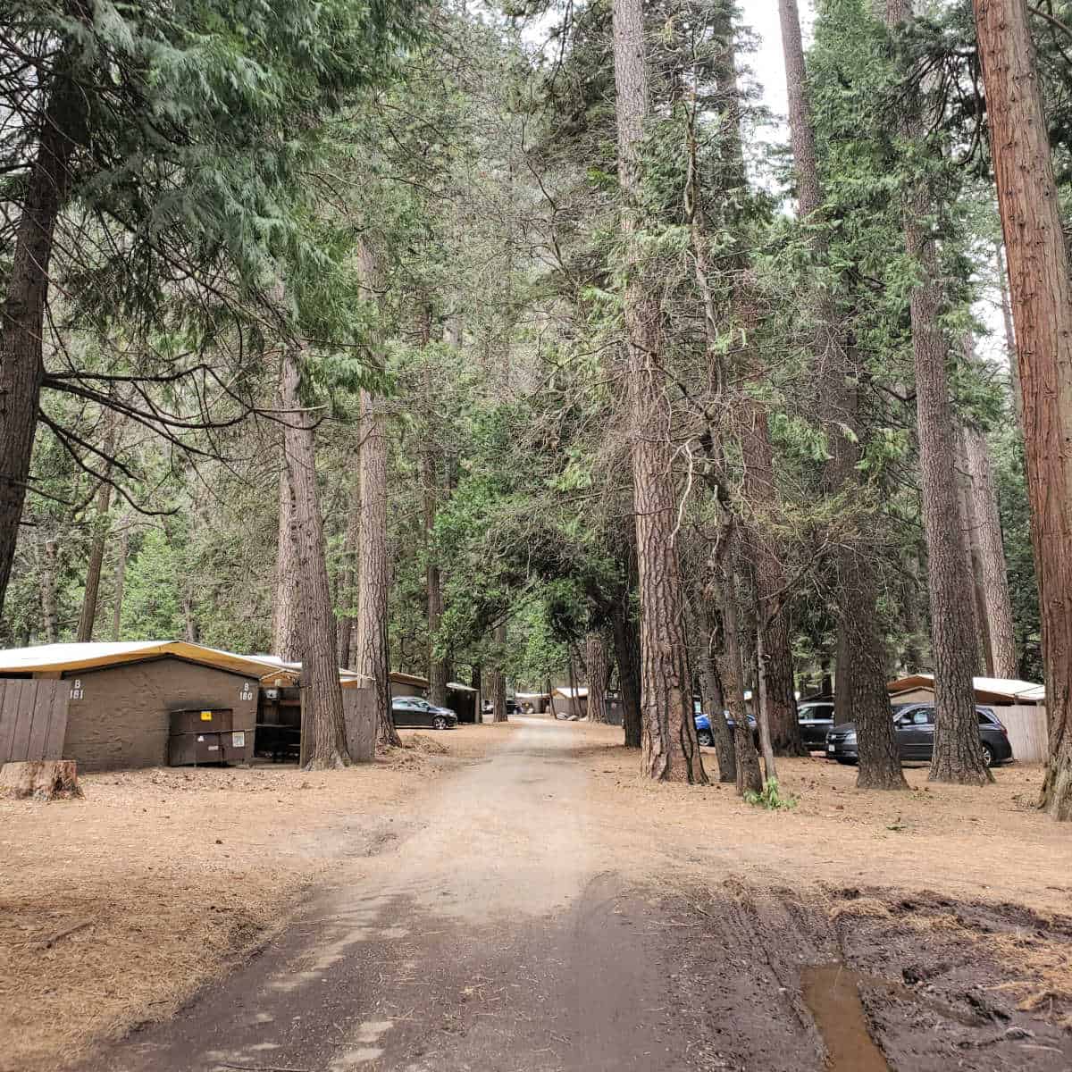 Housekeeping Camp Yosemite National Park