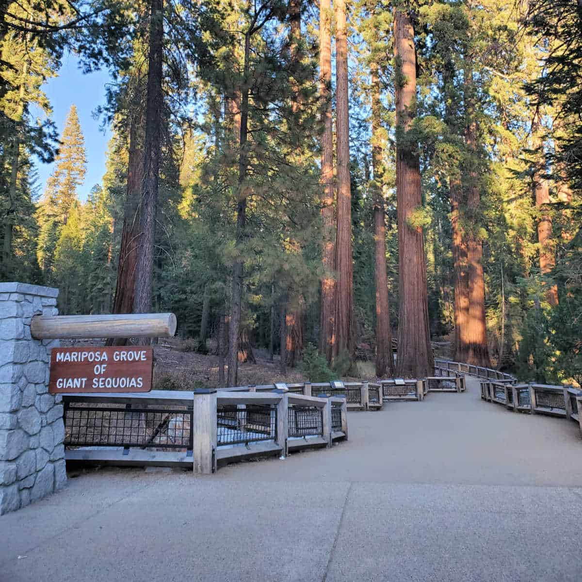 Mariposa Grove of Giant Sequoias