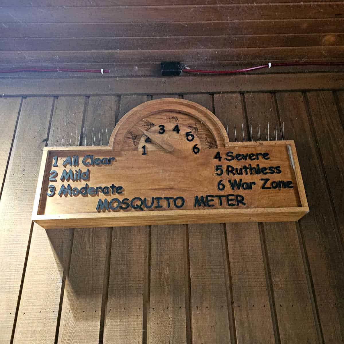 Mosquito meter at Congaree National Park