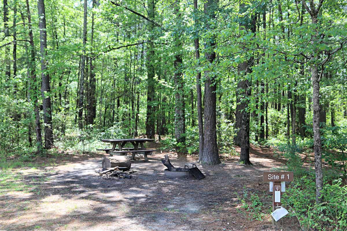 Site #1 Longleaf Campground Congaree National Park