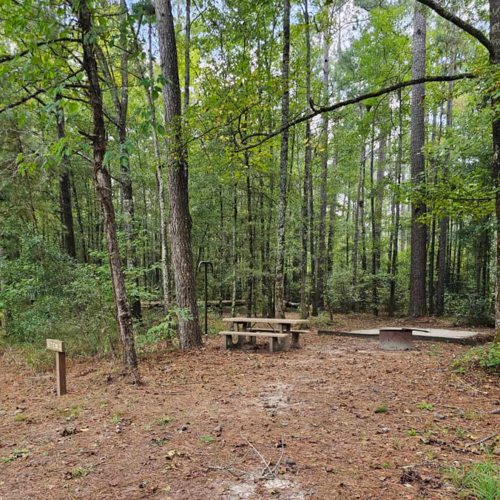 Site #2 Longleaf Campground Congaree National Park