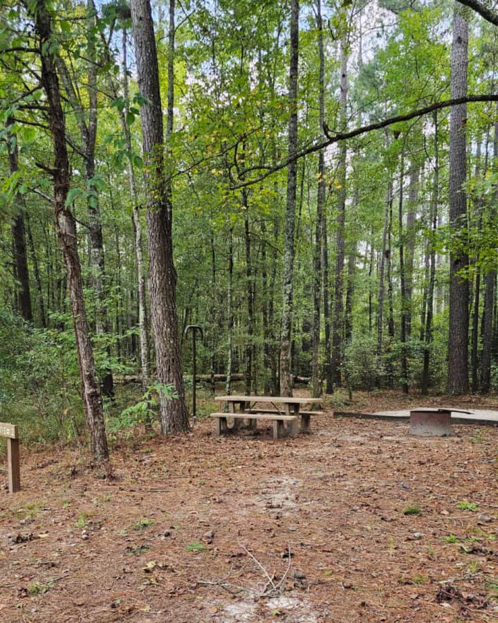 Site #2 Longleaf Campground Congaree National Park