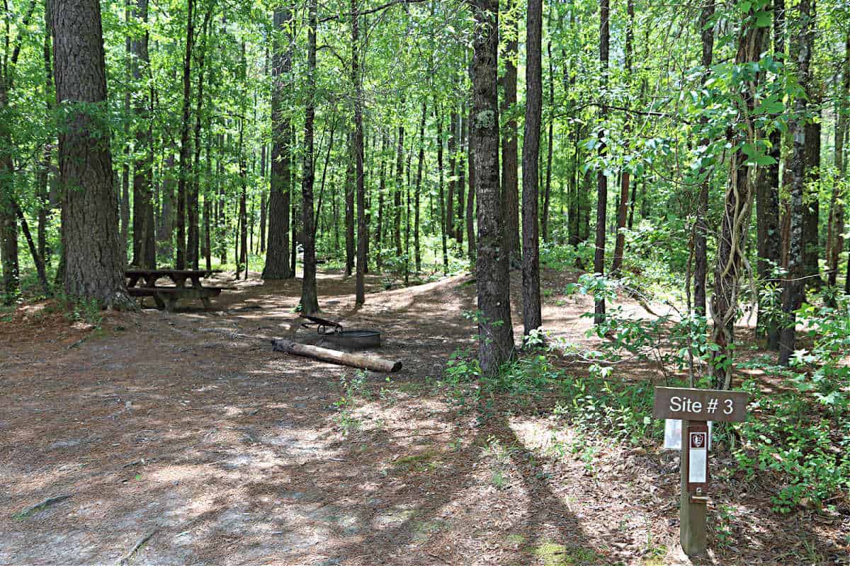 Site #3 at Longleaf Campground Congaree National Park