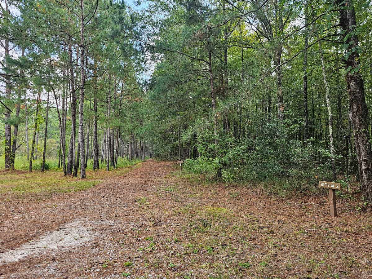 Trail to campsites at Longleaf Campground