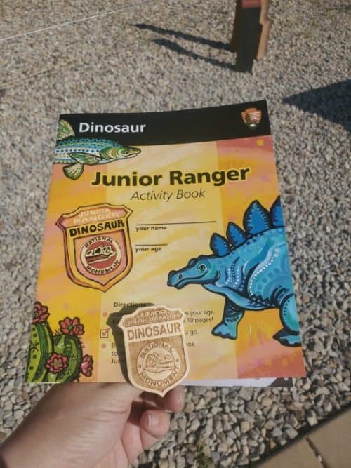 dinosaur nm