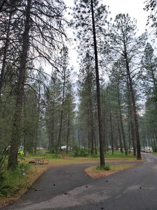 Kettle Falls Campground - Lake Roosevelt National Recreation Area ...