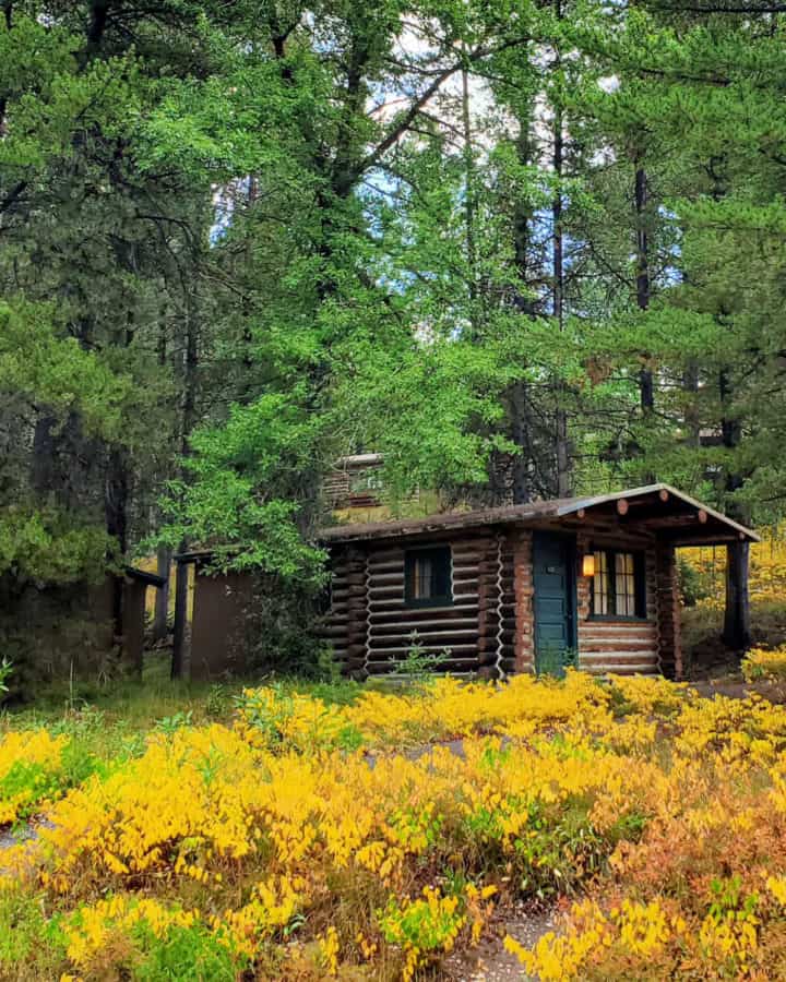 Colter Bay Cabins Grand Teton National Park