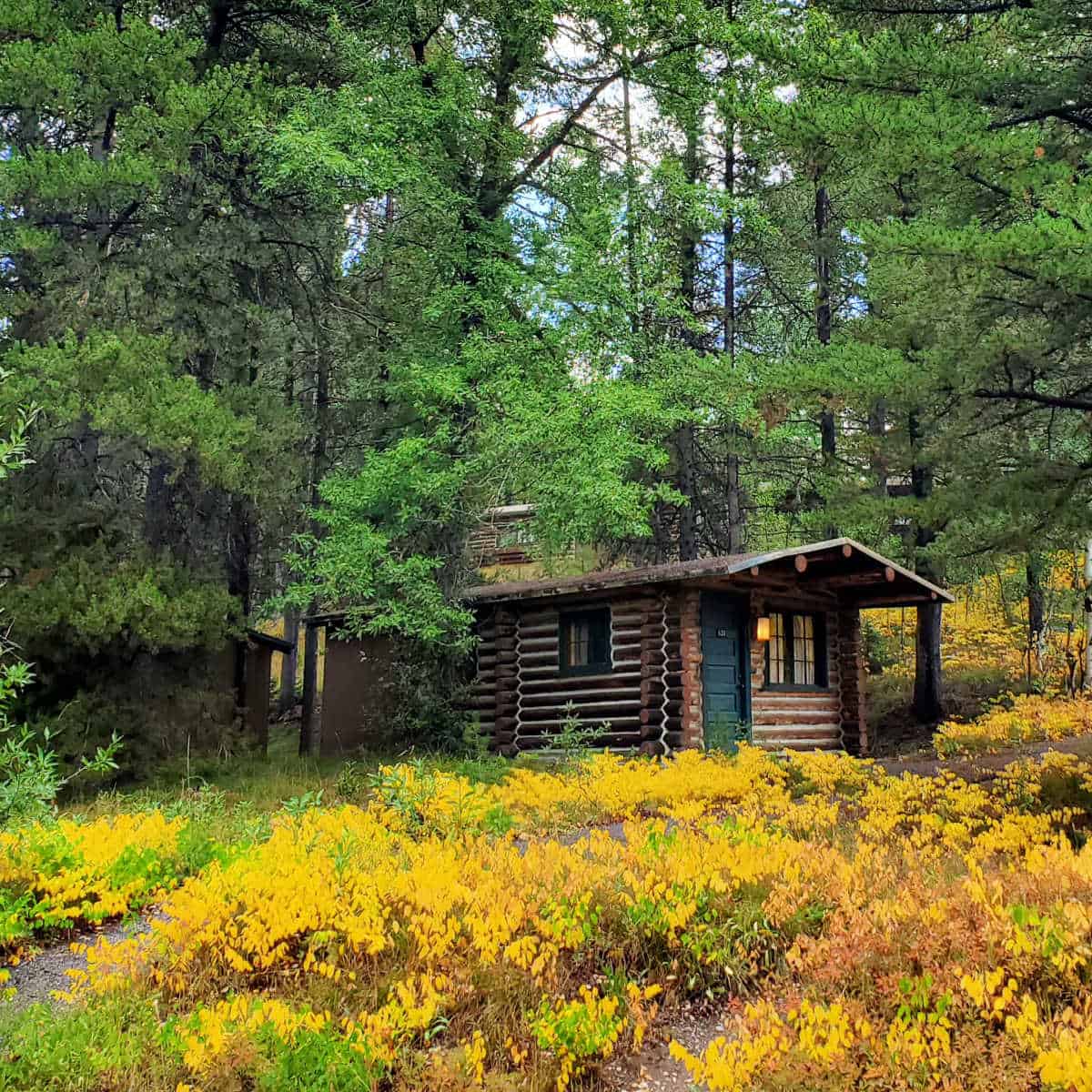 Colter Bay Cabins Grand Teton National Park