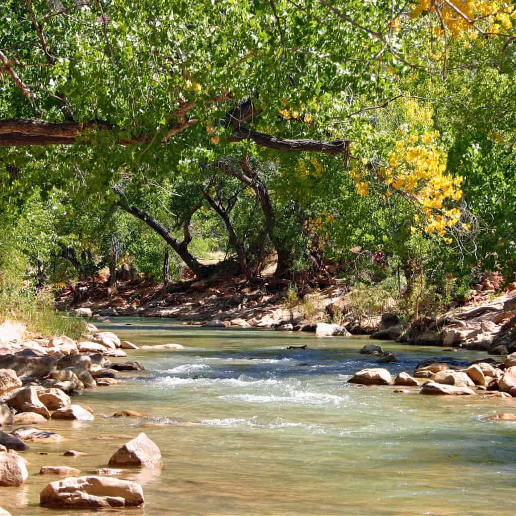 Zion National Park Camping Guide | Park Ranger John