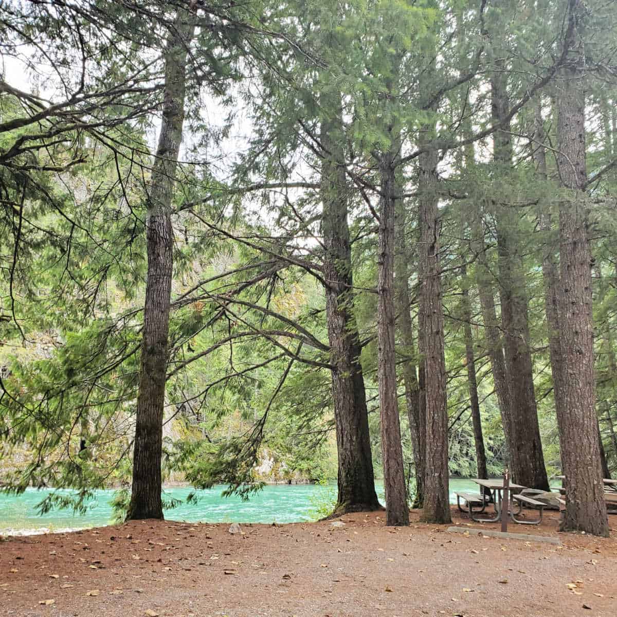 Campsite 1 Gorge Lake Campground North Cascades National Park