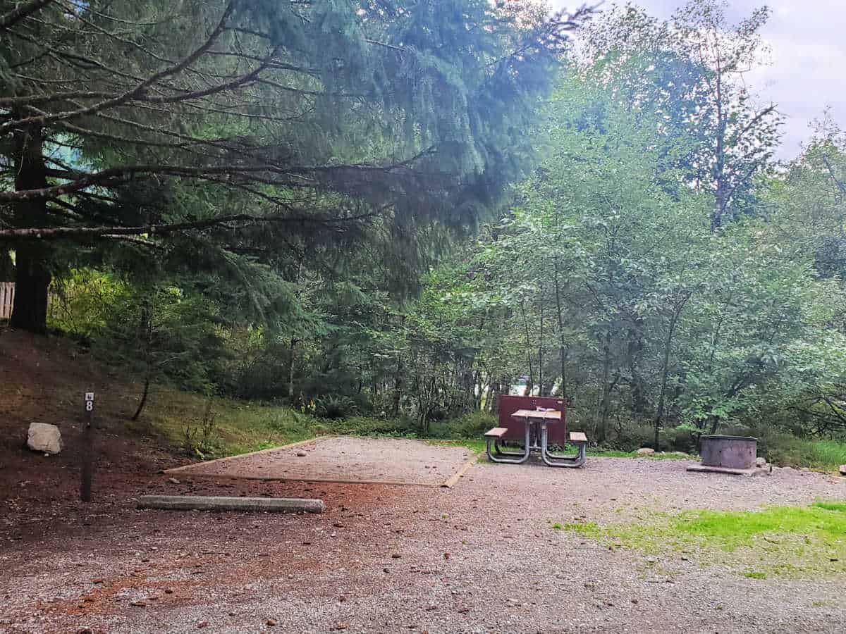 Campsite 8 Gorge Lake Campground North Cascades National Park