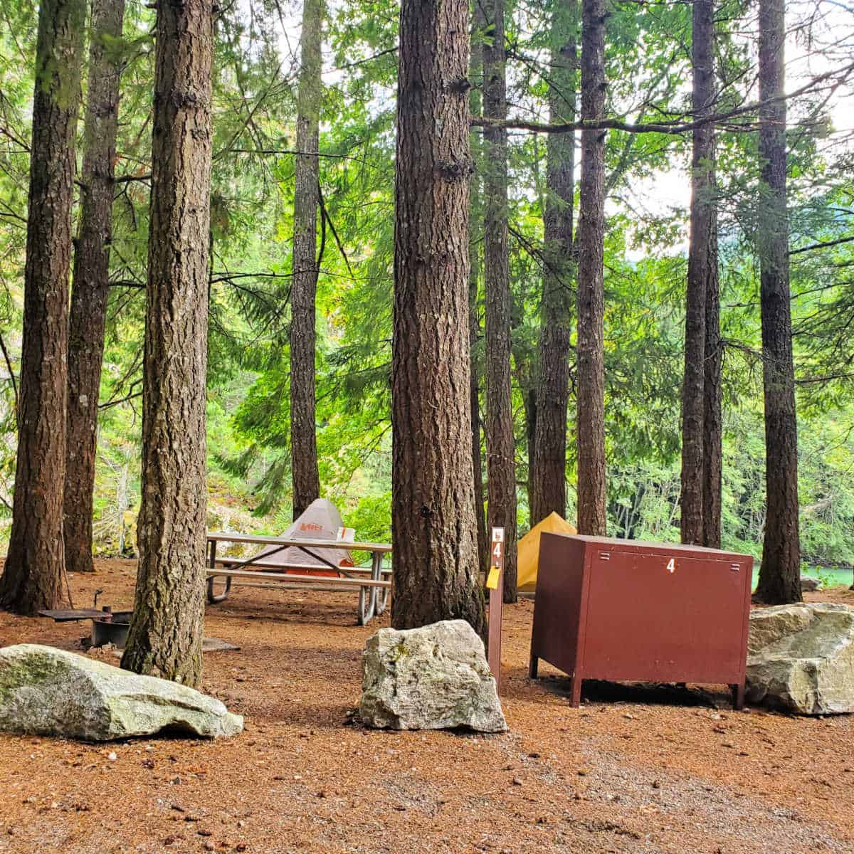 Campsite 4 Gorge Lake Campground North Cascades National Park