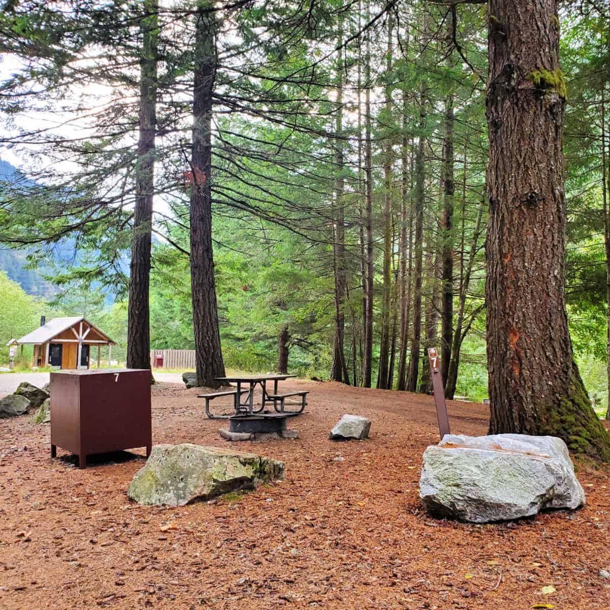 Campsite 7 Gorge Lake Campground North Cascades National Park