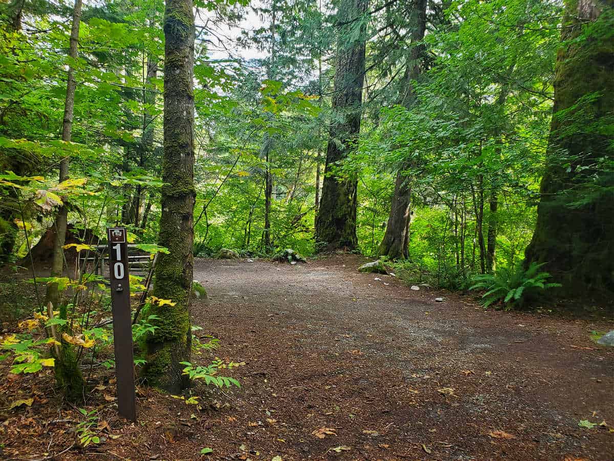 Campsite 10 Goodell Creek Campground North Cascades National Park