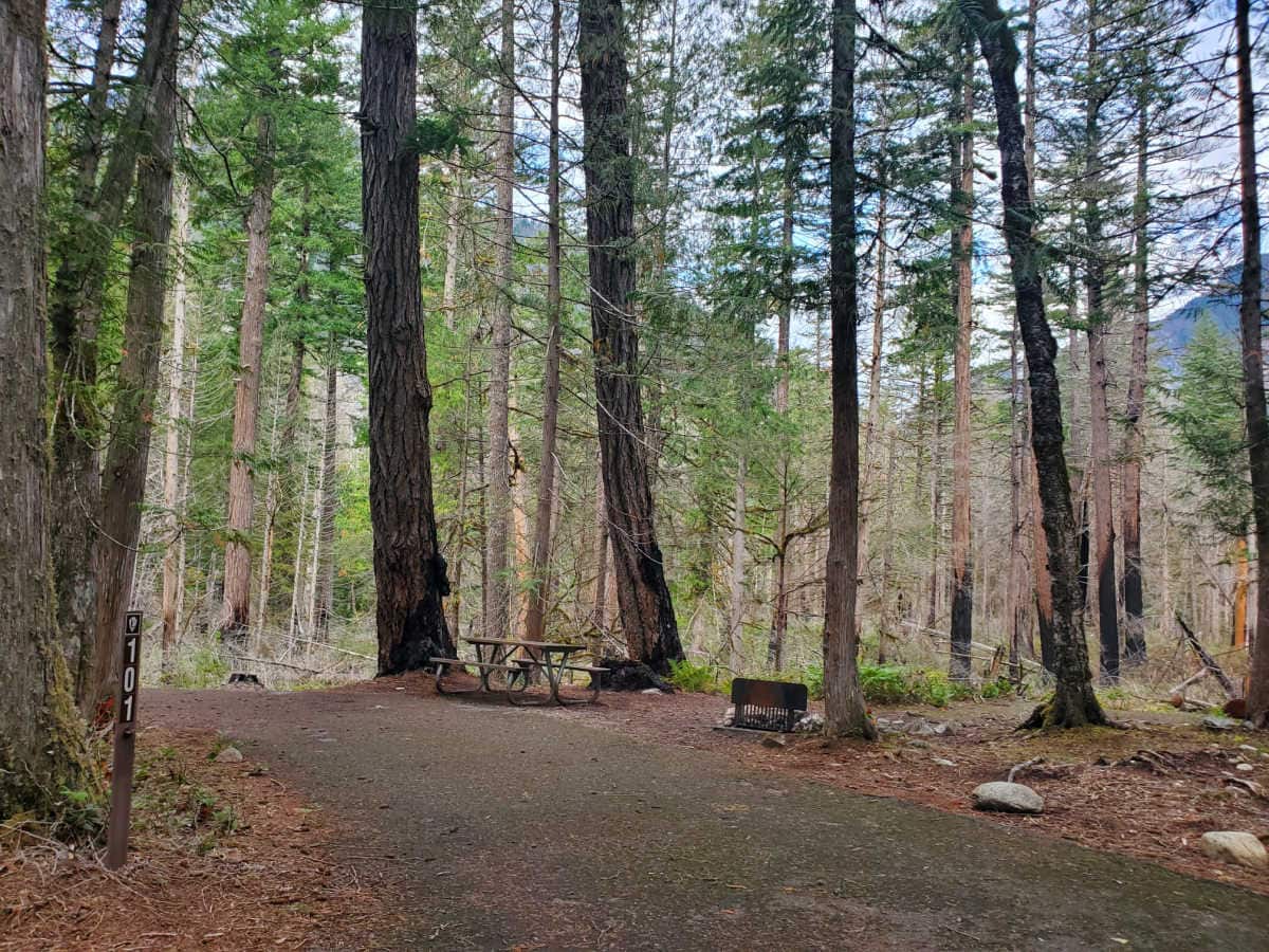 Campsite 101 Newhalem Creek Campground North Cascades National Park