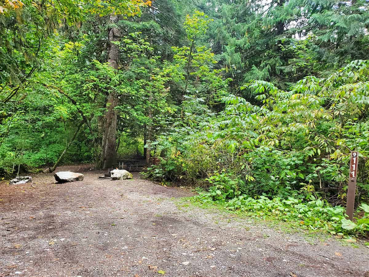 Campsite 111 Colonial Creek Campground North Cascades National Park 