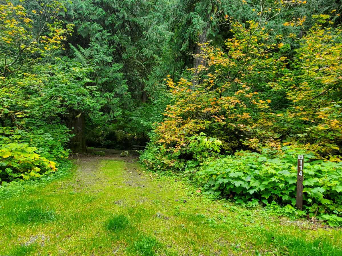 Campsite 114 Colonial Creek Campground North Cascades National Park