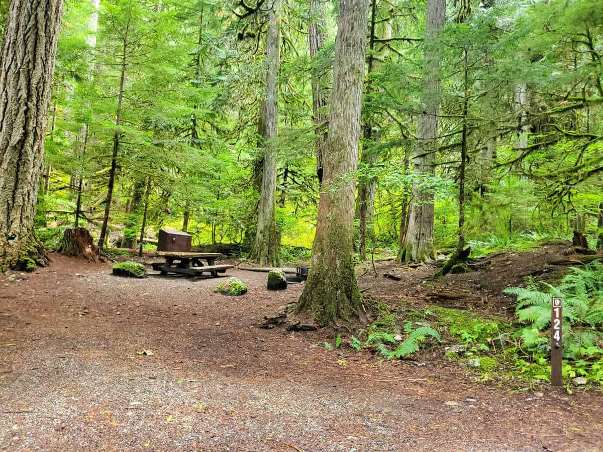 Campsite 124 Colonial Creek Campground North Cascades National Park